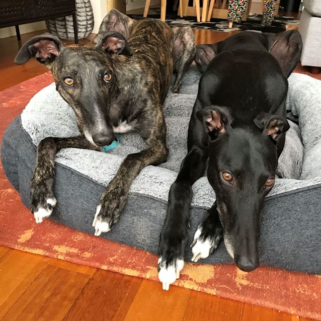 Photo of Zeus & Venus