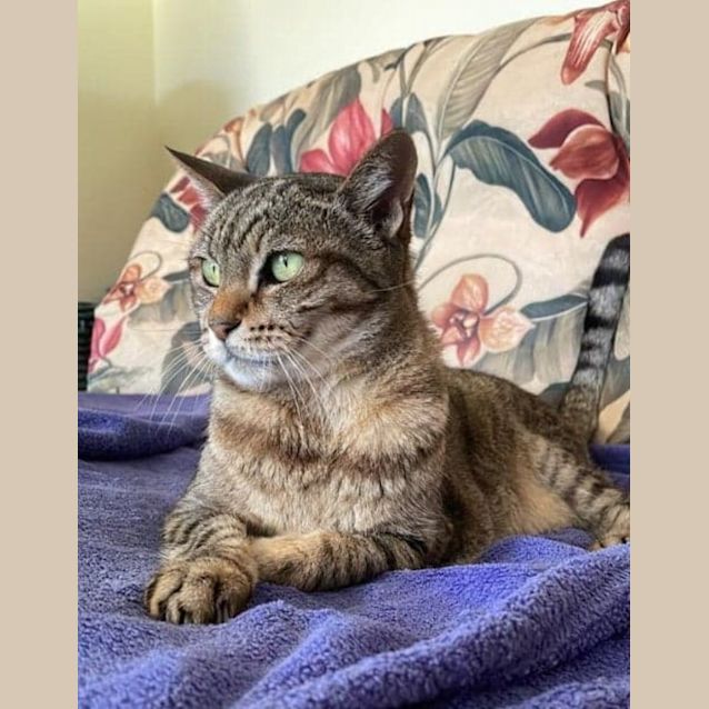 Photo of Grand Old Dame 'Elsie'