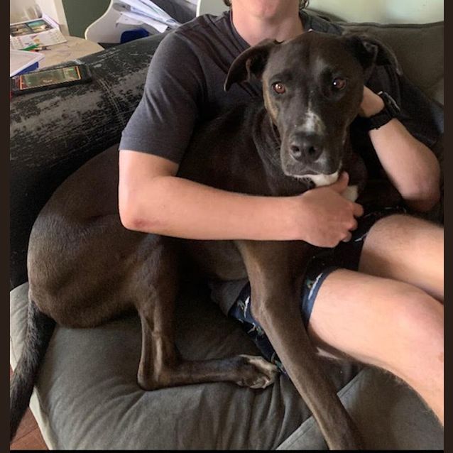 Photo of Zachy