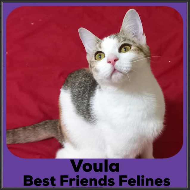 Photo of Voula 