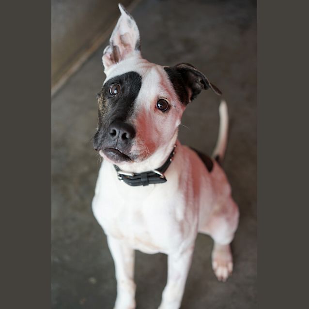 Photo of Cash