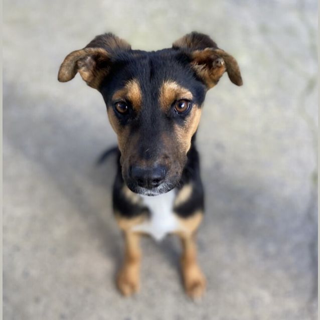Photo of Linc