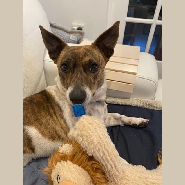 Photo of Winston Dl2913