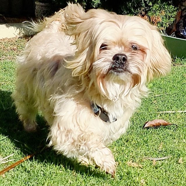 Photo of Tiny