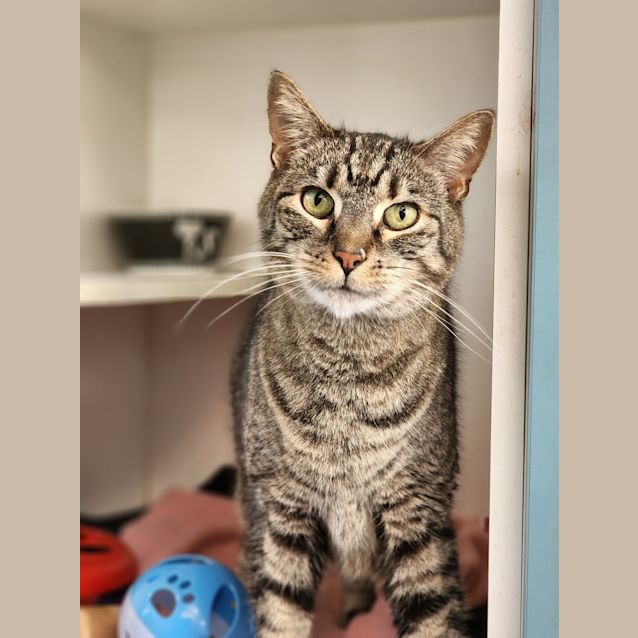 Photo of Momo
