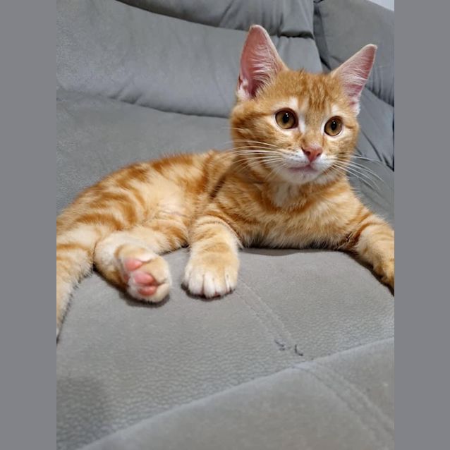 Photo of Clancy