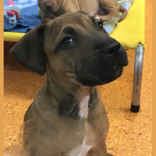 Photo of Maverick