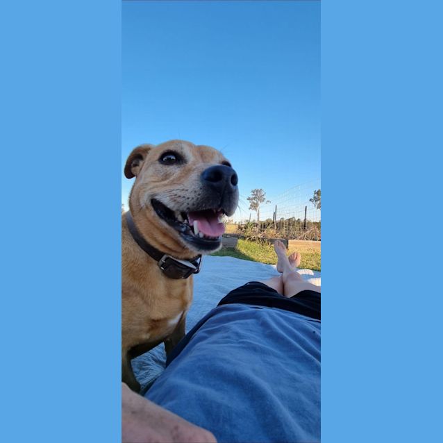 Photo of Romeo And Lily 