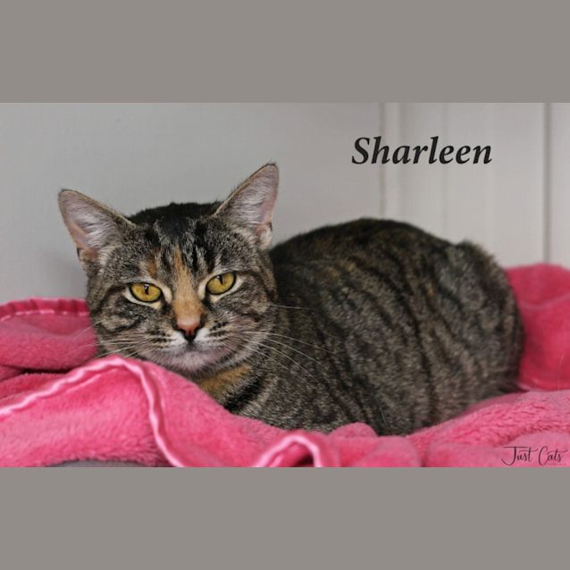 Photo of Sharleen