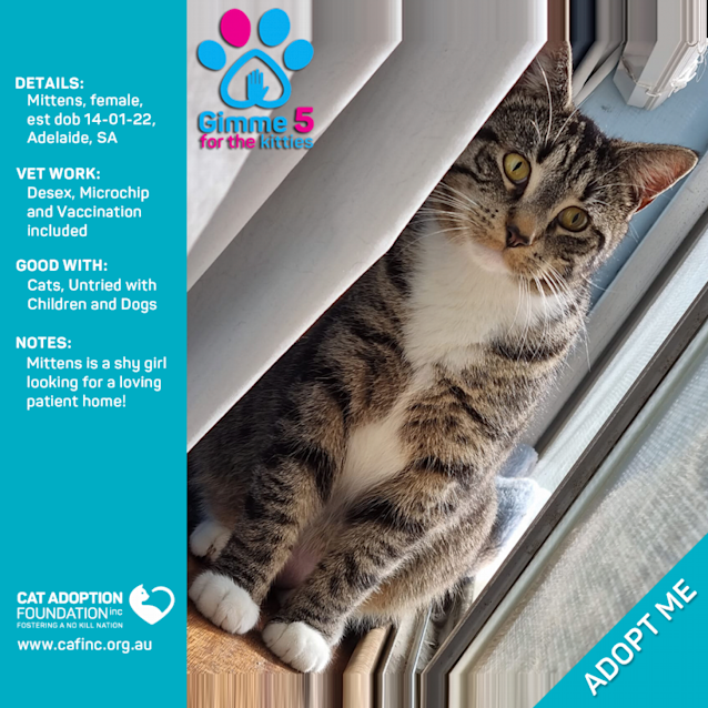 Photo of Mittens Just $39 Limited Time!