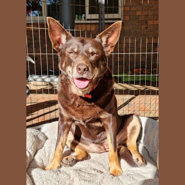 Photo of Roxy