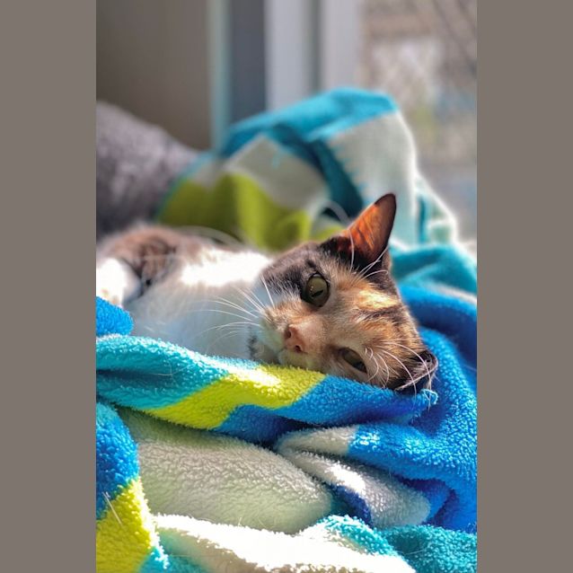Photo of Charlotte