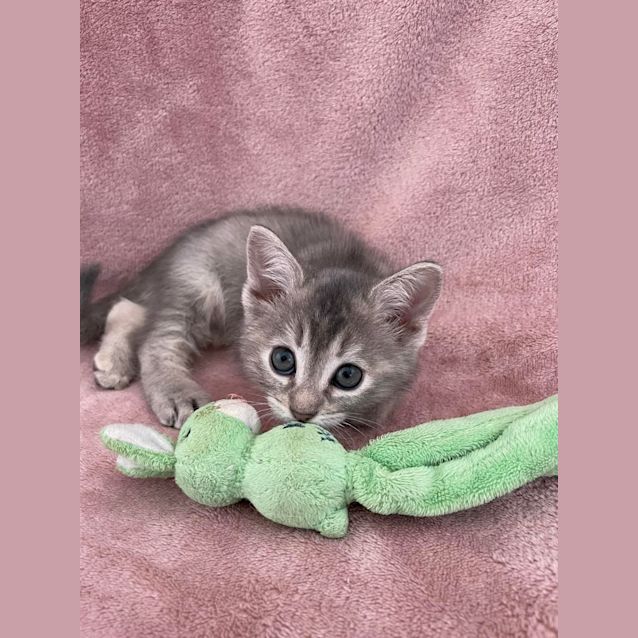 Photo of Charlotte 