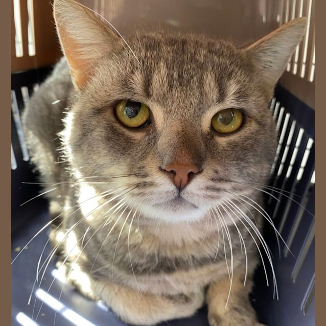 Photo of Mick Jagger