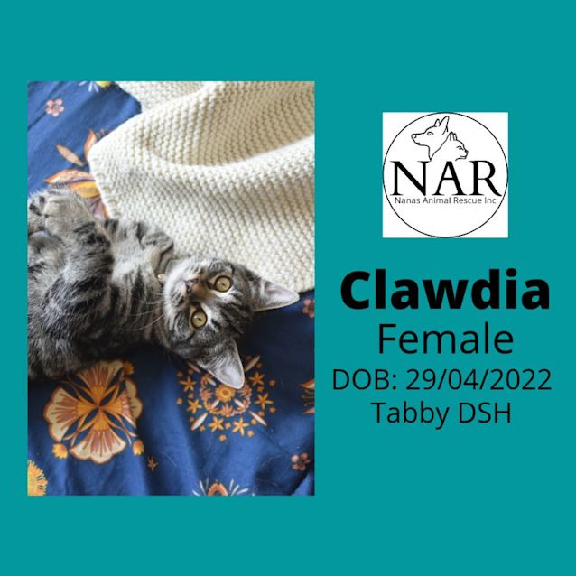 Photo of Clawdia