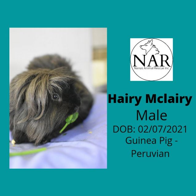 Photo of Hairy Mc Lairy