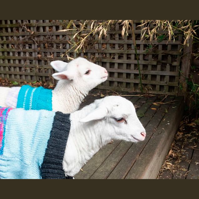 Photo of Sebastian And Karac