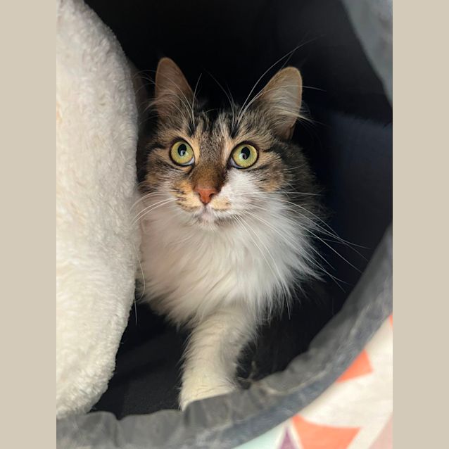 Photo of Maisy & Squeak