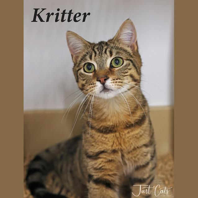 Photo of Kritter