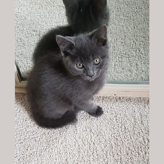 Photo of C1078 Barry