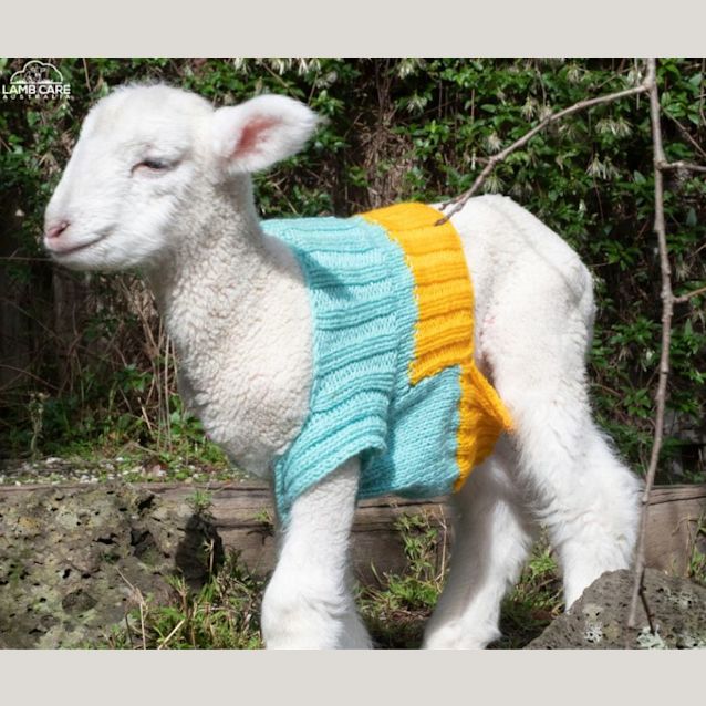 Photo of Craig And Neil