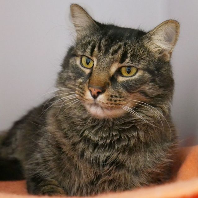 Photo of Carl Sua010238