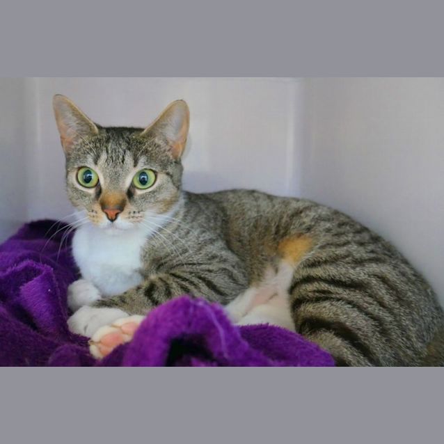 Photo of Millie Sua010235