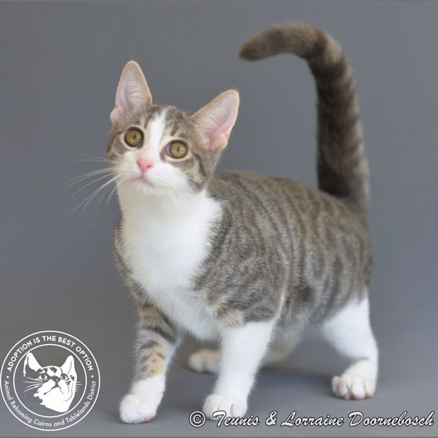 Photo of Lilly And Malibu