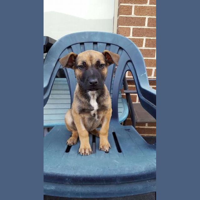 Photo of Tyson
