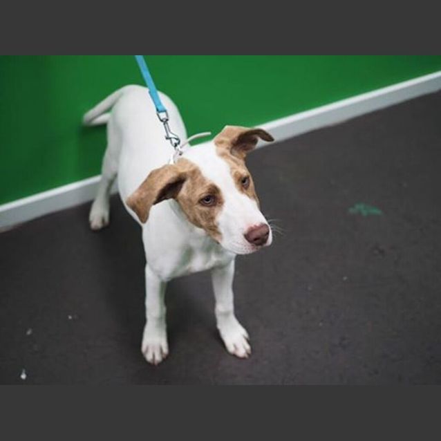 Photo of Hazel