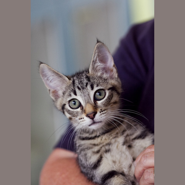 Photo of Maurice