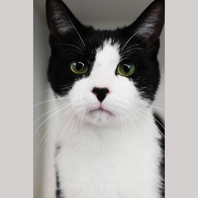 Photo of Barry
