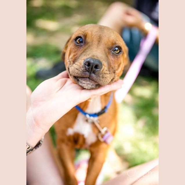Photo of Capone