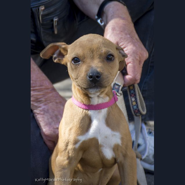 Photo of Betsy