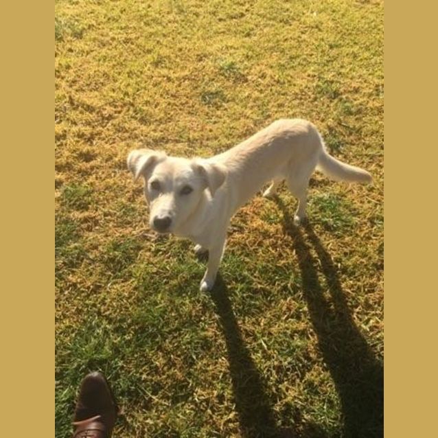 Photo of Bella