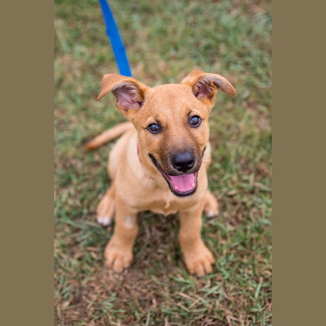 Photo of Cooper