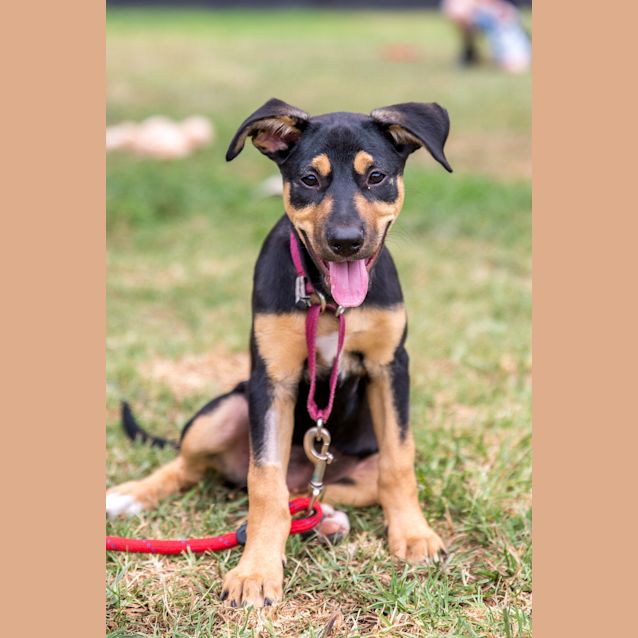 Photo of Dora