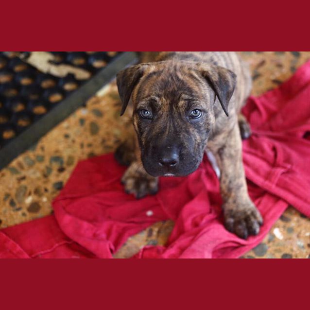 Photo of Ella
