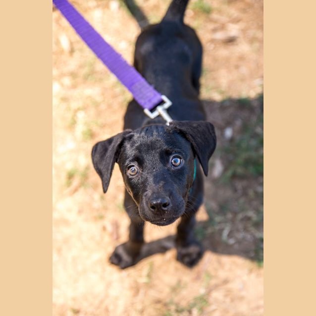 Photo of Darla