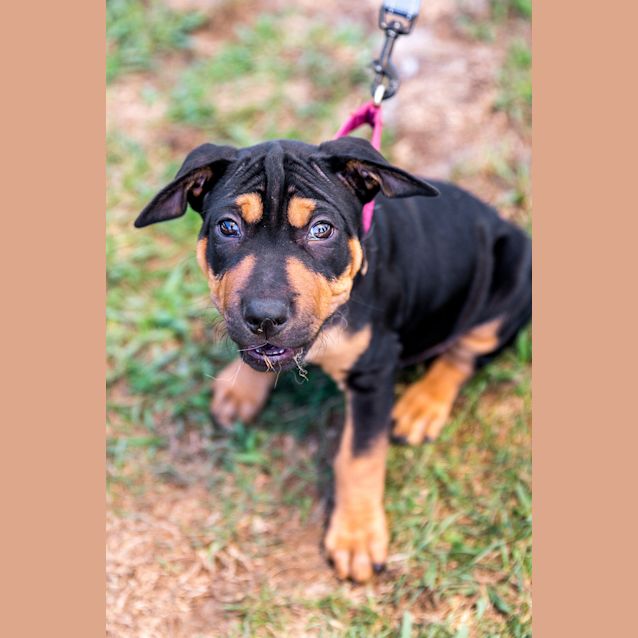 Photo of Spike