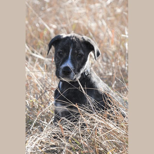 Photo of Bruce