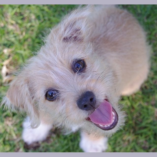 Photo of Josie