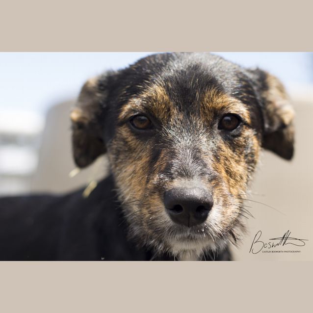 Photo of Bonnie