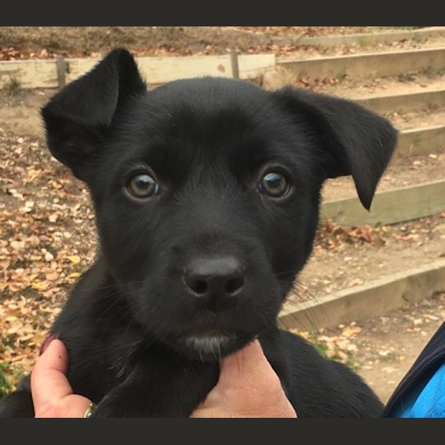 Photo of Ash