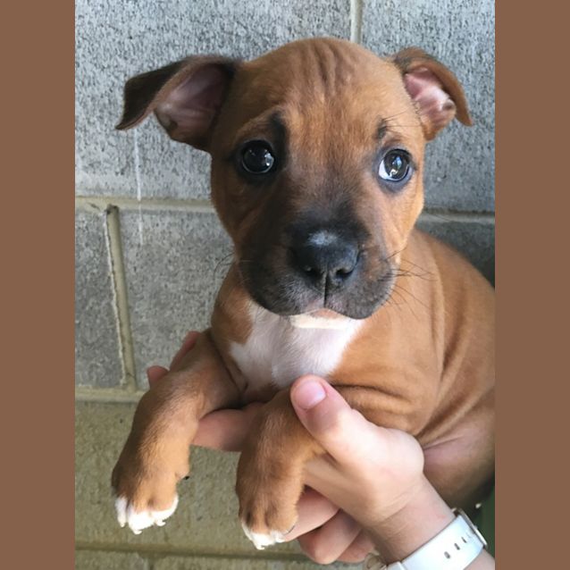 Photo of Lexi