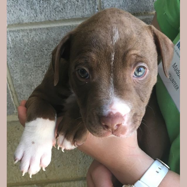 Photo of Truffle