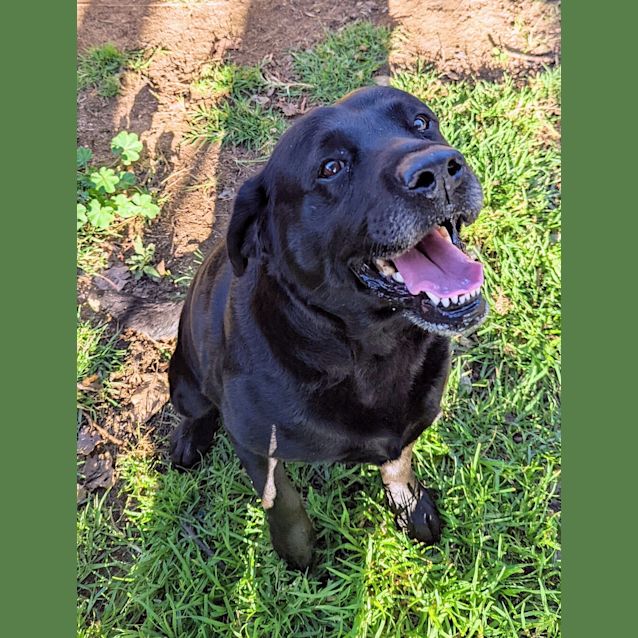 Photo of Jet 