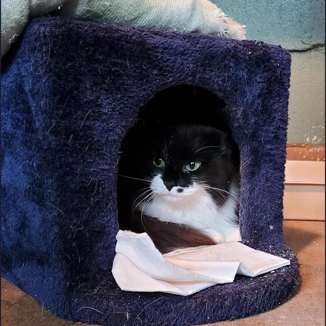 Photo of Milly