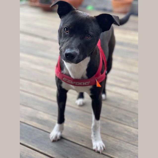 Photo of Maggie 