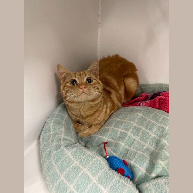 Photo of Radley
